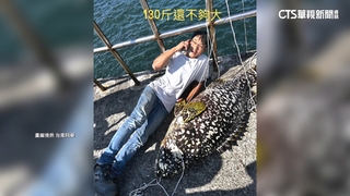 「大」驚喜！安平北提釣到龍膽石斑　長153cm重78kg