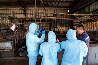 遭羅智強爆「豬場廚餘稽查僅7%」　屏東縣府駁斥：惡質移花接木