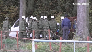 協助因應嚴重熊害　日本自衛隊進駐秋田縣