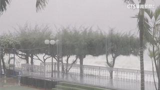 「海鷗」猛撲菲律賓.越南!　已知至少140人喪命