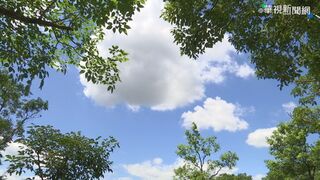 今迎立冬　俗諺真的貼近台灣氣候？氣象署分析：僅1句話稍微貼近