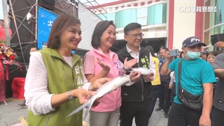 彌陀虱目魚節「藍綠委搶海線票」！　台下互動熱「綠委4缺1」