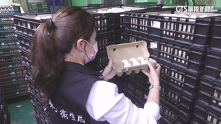 雞蛋驗出芬普尼　食藥署:快檢查溯源碼"I47045"