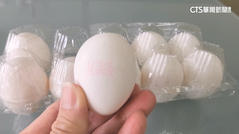 【台語新聞】快對序號! 15萬芬普尼蛋流9縣市 3萬顆不知去向