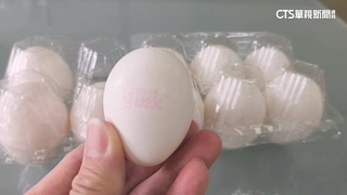 芬普尼掀雞蛋風暴！　畜牧場「100%逐批查驗」才放行