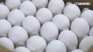 文雅畜牧場再驗出「雞蛋、蛋雞羽毛含芬普尼」　　農業部：移交檢調深入偵辦