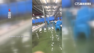 宜蘭釣蝦場水淹腳踝　釣客續釣　網笑：沉浸式釣蝦