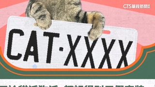 「貓奴身分證」決標！　「CAT-8888」車牌57.6萬