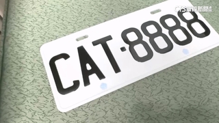 貓奴瘋搶「CAT」車牌　連號組合標出57.6萬高價