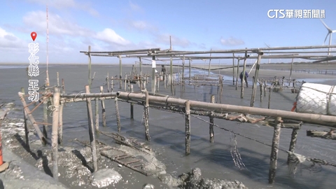 【台語新聞】彰化海邊颳9級強風　蚵農趁陽光露面搶修棚架