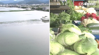 災後菜價飆？　農糧署：未衝擊產區　蔬菜價穩.放心選購