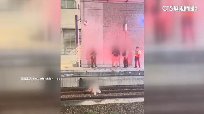 不滿站務員吹哨　女子抓狂跳下月台　遭依鐵路法送辦 | 華視新聞