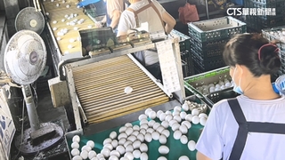 芬普尼蛋管制期竟流入台中　逾3萬顆問題蛋恐吃下肚