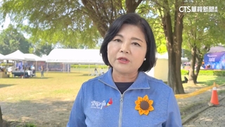 立院再修財劃法！陳其邁批片面獨斷　張麗善籲政院別再出手