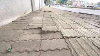 人行道板樹竄根破損嚴重　高道工處：已場勘.速修繕