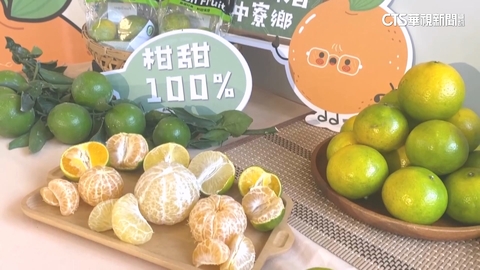 【台語新聞】上架了！中寮柑橘「賣」向全台　為12月活動暖身