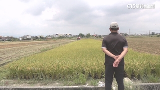 成本高.農工缺　百大青農得主「機具共享」打破困境