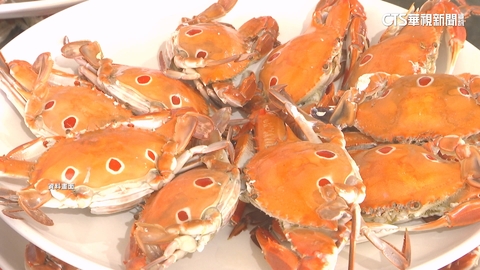 【台語新聞】大閘蟹回來了！　先前藥檢未過　饕客睽違1個月大快朵頤