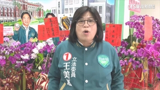 黃敏惠交棒與綠營達協議？　藍營駁斥　王美惠：對手選戰策略