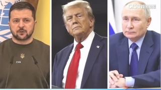 美版和平方案被刪減　英國衛報：28點剩19點