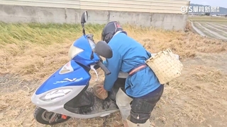 恆春罕見比台北還涼　居民搬石塊壓機車踏板防落山風