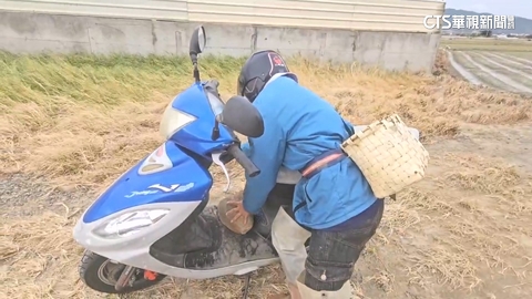 【台語新聞】恆春罕見比台北還涼　居民搬石塊壓機車踏板防落山風