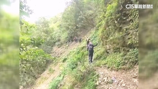 部落訪友誤食「大花曼陀羅」　5人集體出現幻覺險丟命