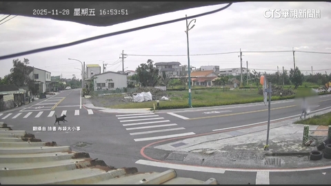 【台語新聞】出門倒垃圾遇黑狗狂追　10歲童驚嚇狂奔逃命