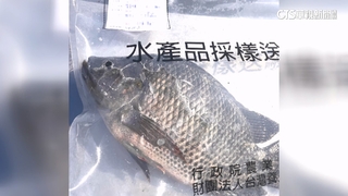 鯛魚排藥檢超標「逆轉」？廠商：未檢出　高市府：不同檢體