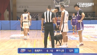UBA高師大vs.義守插曲　小黑狗闖賽場嗨咬選手球鞋