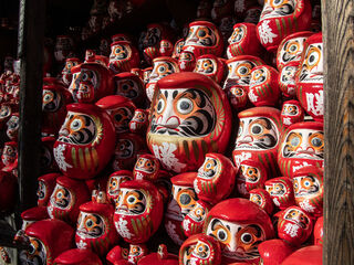 大阪勝尾寺「台灣達摩」疑遭中國遊客破壞！　寺方：對此事毫不知情