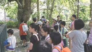 涵蓋北中！國小畢旅「3天2夜6200元」　掀網路熱議