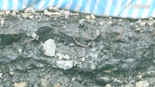 遭鋼筋刺傷控沒勞健保「零理賠」　派遣公司：有職災險