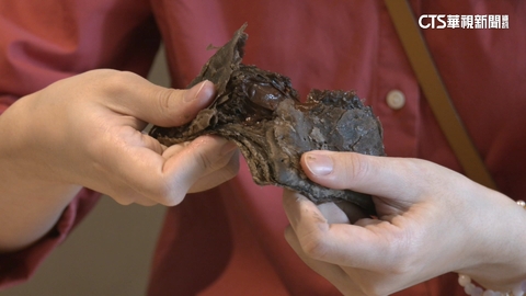 速食搶暖商機 巧克力派.壽喜燒堡.乳酪脆雞互別苗頭