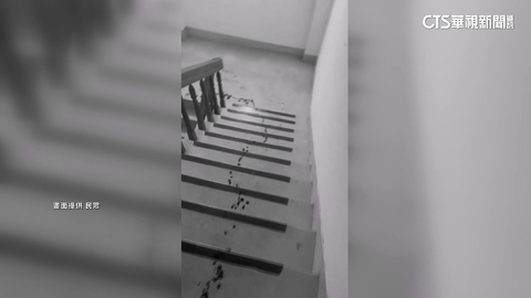 討4萬5債務!台中街頭濺血 民眾:警要求勿亂傳影片