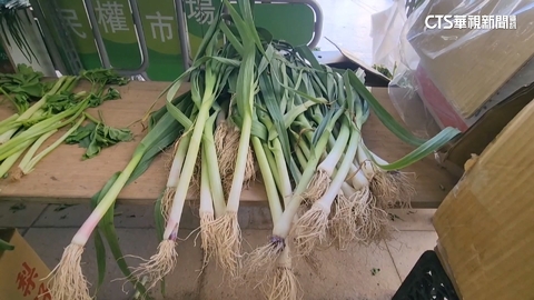 高山.平地青蒜品種有差別? 攤商曝分辨方法