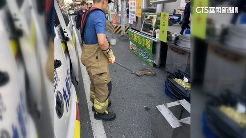 寵物蛇暴走? 男「遭蛇繞頸」跌倒撞頭.民眾急報警