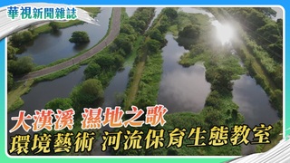 大漢溪 濕地之歌 環境藝術&生態教室｜華視新聞雜誌