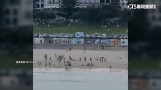 澳洲槍擊15死！　外交部報平安：目前無我國人傷亡