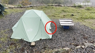 不甩禁令！宜蘭燈篙林道　赫見民眾違規露營