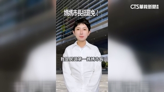 穿白襯衫自稱「媽媽市長」挺罷挨告　檢：罪嫌不足「不起訴」