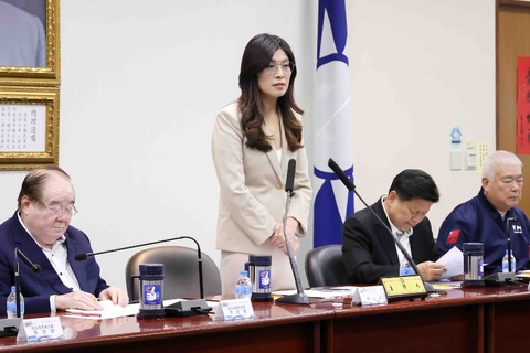 賴清德批「在野獨裁」 鄭麗文嗆「沒素養」:在野無法獨裁 如同男生不會生小孩