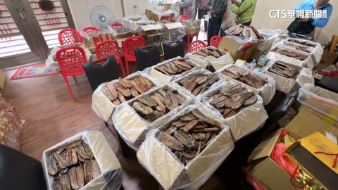 【台語新聞】溫王爺千歲聖誕580斤烏魚子免費吃　東隆宮廟埕開攤