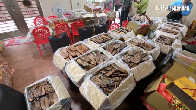 【台語新聞】溫王爺千歲聖誕580斤烏魚子免費吃　東隆宮廟埕開攤