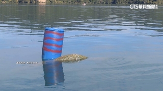 日月潭水怪現蹤？　驚現神秘巨型物體浮水面...真相曝