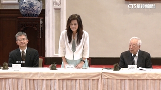 憲訴法違憲「部分認同」　大法官蔡彩貞：積案將如堰塞湖溢流