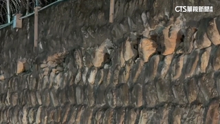 卑南6.1地震！台鐵關山-金崙跳電　岩灣監獄外牆崩落