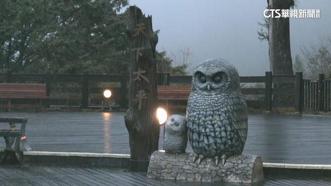 天冷追雪去！　專家：拉拉山.太平山.合歡山有望降雪