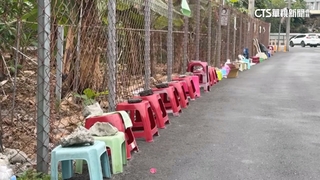 紫南宮馬年錢母元旦發放　民眾6天前置板凳排隊