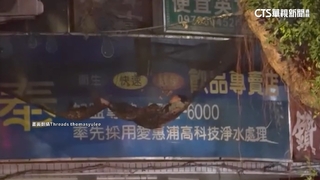 寒冷耶誕夜！　女躺大樓攔網睡空中　民眾急報警救援